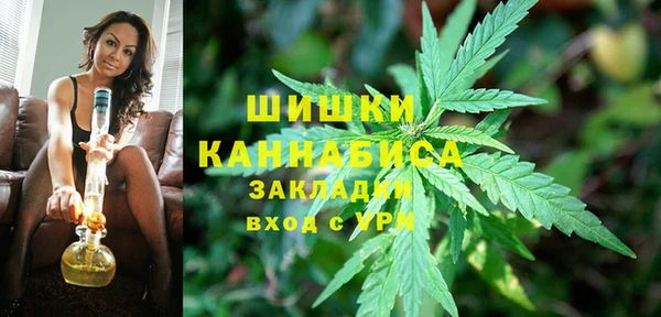 гидропоника Нягань
